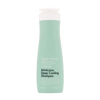 Шампунь для жирной кожи головы DAENG GI MEO RI Look At Hair Loss Minticcino Deep Cooling Shampoo