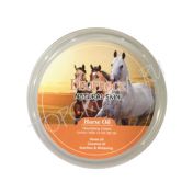 Питательный крем с лошадиным жиром и маслом кокоса DEOPROCE Natural Skin Horse Oil Nourishing Cream